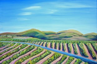 Vineyard