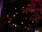DSC01125.JPG