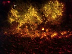 DSC01126.JPG