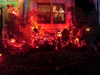 DSC01140.JPG
